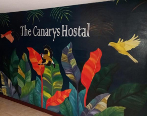 The Canarys Hostal